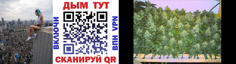 блэк спрут как зайти  маркетплейс официальный сайт  Марихуана Ganja  Дербент 